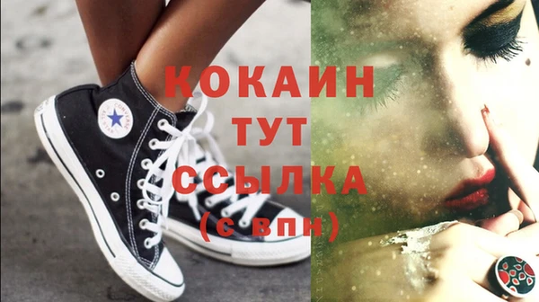 тгк Алексин