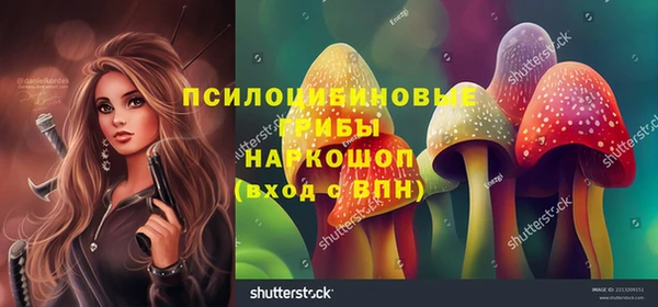герыч Алзамай
