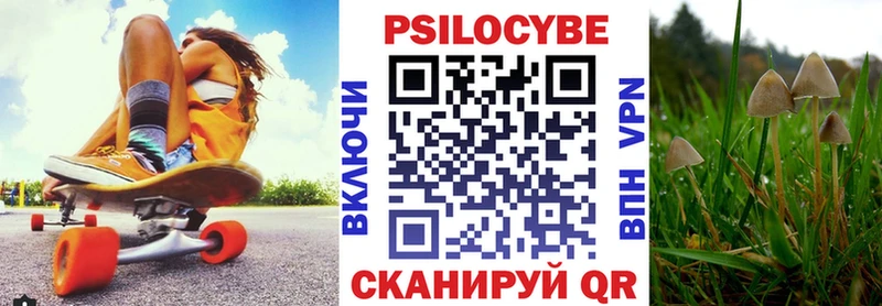 Псилоцибиновые грибы Psilocybe  где купить наркотик  Малоархангельск 